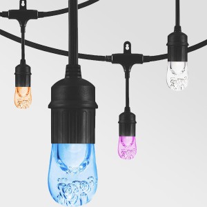 Selectable color models decorative string light