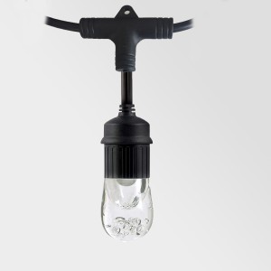 Selectable color models decorative string light